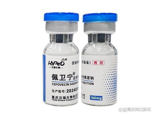 全球首個 兩江新區這家藥企研發一款寵物專用藥