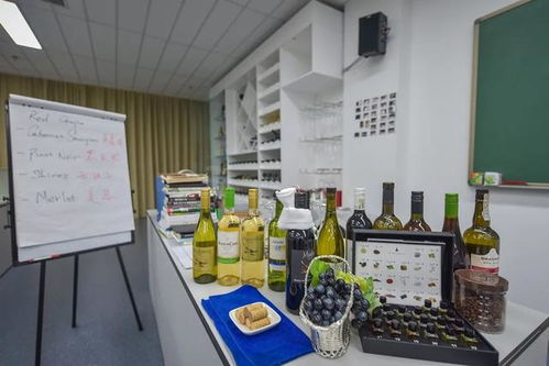 三亞中瑞酒店管理學(xué)院丨酒店管理與餐飲管理 全球十大熱門(mén)行業(yè)的雙翼