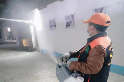 貴陽白蟻防治專業(yè)公司電腦圖文設(shè)計制作指南